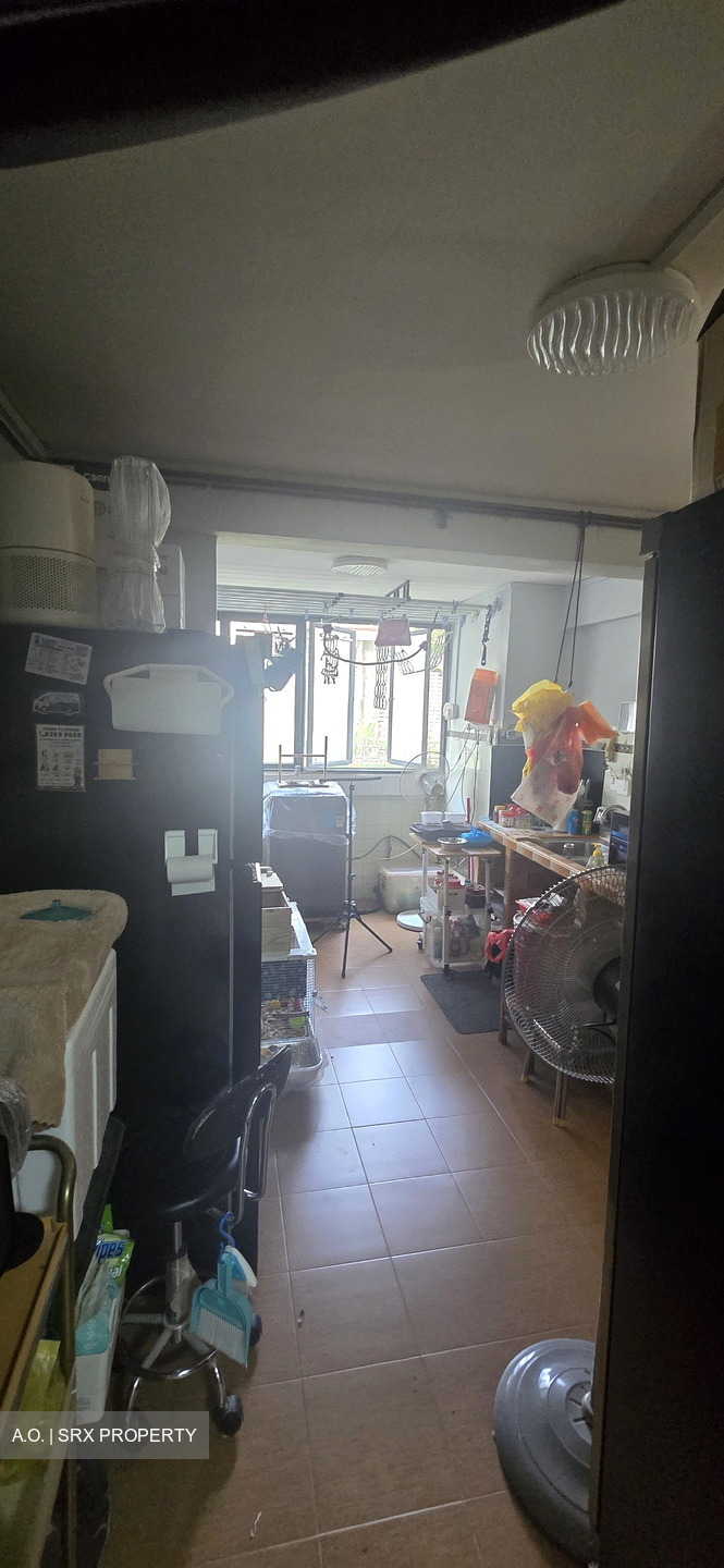 Blk 166 Stirling View (Queenstown), HDB 3 Rooms #636478811